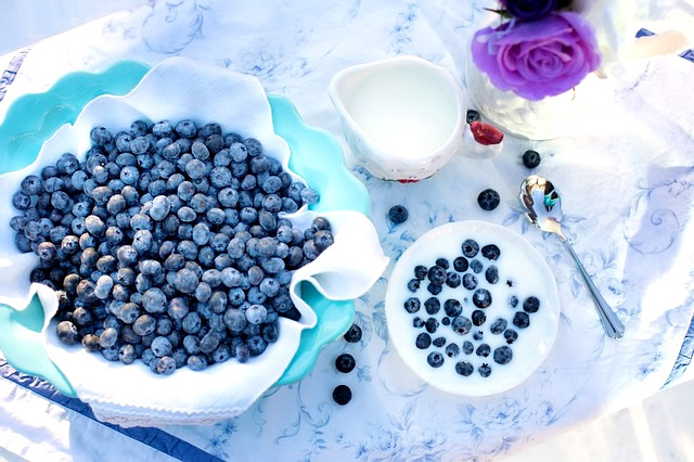 blueberries-1576409_640-1