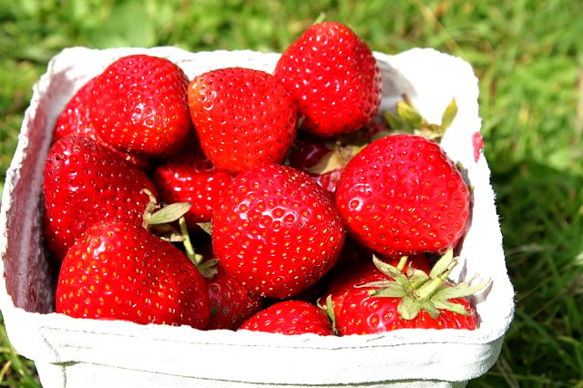 strawberries-2270463_640